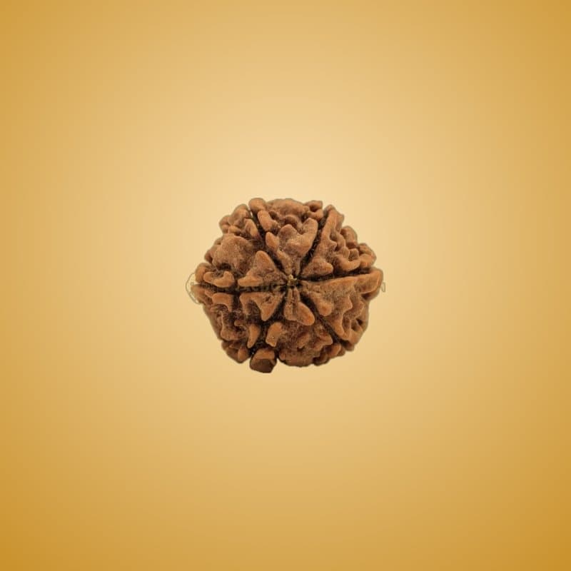 "Om" rudraksha pendant